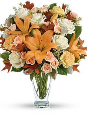 Seasonal Sophistication