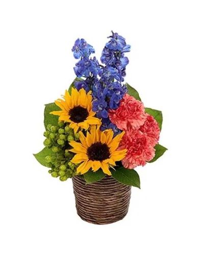 Bold & Beautiful sunflowers capture immediate attention in this imaginatively designed bouquet. Lovely blue delphinium, orange carnations and green hypericum augment the sunny design all brought together in a dark brown basket.